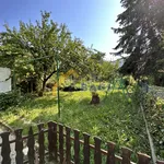 Rent 10 bedroom house of 300 m² in City of Zagreb