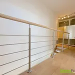 Pronajměte si 1 ložnic/e byt o rozloze 102 m² v Prague