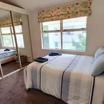 Rent 1 bedroom apartment in Wellington