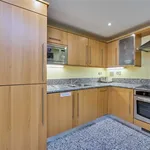 Rent 1 bedroom apartment in London