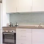 Rent 4 bedroom apartment in Madrid