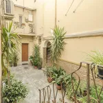 Rent 2 bedroom apartment of 45 m² in Bologna