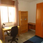 Rent a room of 120 m² in cordoba