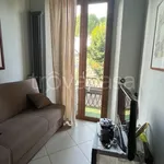 Rent 3 bedroom apartment of 65 m² in Firenze