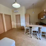 Rent 3 bedroom apartment of 80 m² in Bari