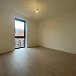 Rent 2 bedroom apartment in Rijkevorsel