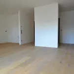 Rent 3 bedroom apartment of 80 m² in Leipzig