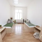 Rent 1 bedroom apartment of 12 m² in Brno