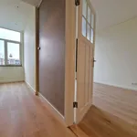 Huur 2 slaapkamer appartement van 55 m² in Den Haag