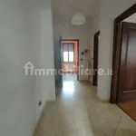 Rent 3 bedroom apartment of 80 m² in Turin