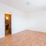 Rent 1 bedroom house of 250 m² in Prague