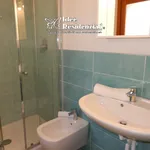 Rent 1 bedroom apartment of 50 m² in palau