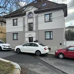 Rent 3 bedroom apartment of 51 m² in Liberec