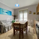 Rent 2 bedroom apartment of 45 m² in Alba