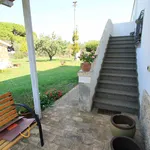 Rent 4 bedroom house of 100 m² in Montalto di Castro