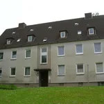 Rent 3 bedroom apartment of 64 m² in Detmold