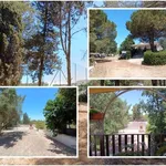 Rent 4 bedroom house of 76 m² in Ostuni