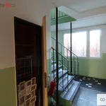 Rent 2 bedroom apartment of 42 m² in Kolín