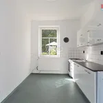 Rent 1 bedroom apartment of 40 m² in Děčín