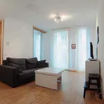 Rent 1 bedroom apartment of 30 m² in Madrid