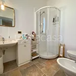 Rent 2 bedroom apartment of 70 m² in Cervia