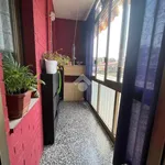 Rent 1 bedroom apartment of 16 m² in Turin