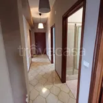 Rent 3 bedroom apartment of 110 m² in Catania