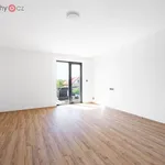 Rent 1 bedroom house of 179 m² in Plzeň