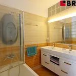 Rent 3 bedroom apartment of 67 m² in Brno