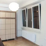 Rent 1 bedroom apartment in Capital City of Prague