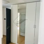 Rent 2 bedroom apartment in Praha 8