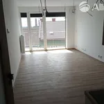 Rent 1 bedroom apartment of 33 m² in Brno