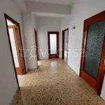 Rent 3 bedroom apartment of 120 m² in Foggia