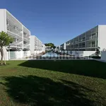 Rent 4 bedroom apartment of 75 m² in Jesolo