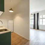 Rent 1 bedroom apartment of 33 m² in Capital City of Prague