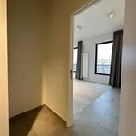 Rent 1 bedroom apartment in Brussels