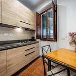 Rent 1 bedroom apartment of 30 m² in Florence