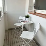 Rent 1 bedroom apartment in Brno