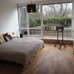 Rent 3 bedroom apartment of 95 m² in München