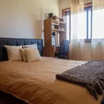 Rent 1 bedroom apartment in porto