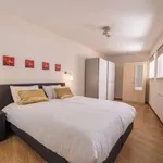 Rent 2 bedroom apartment of 45 m² in Eindhoven