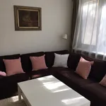 Rent 3 bedroom apartment of 85 m² in Prague