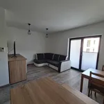 Rent 1 bedroom apartment of 29 m² in Szczecin