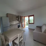 Rent 3 bedroom apartment of 65 m² in San Teodoro