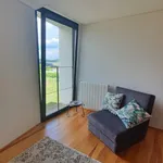 Rent 3 bedroom house of 350 m² in Alijó