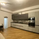 Rent 2 bedroom apartment of 81 m² in Pavia