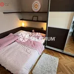 Rent 4 bedroom apartment of 90 m² in Trhový Štěpánov