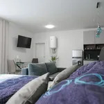 Rent 1 bedroom apartment of 55 m² in Brno