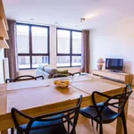 Rent 1 bedroom apartment of 60 m² in brussels