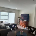 Rent 4 bedroom house in Auckland